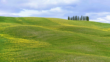 Landschaft